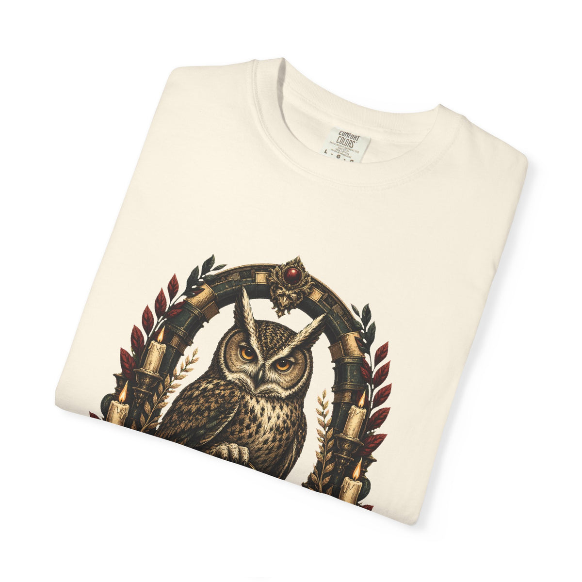 Dark Academia Owl Keymaster Graphic Tee